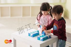 創(chuàng)意互動(dòng)系列藍(lán)色海洋積木--視覺辨認(rèn)
