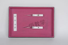 標(biāo)本瓢蟲標(biāo)本